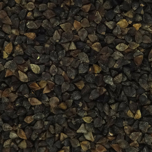 小動物のおいしいおやつ そばの実 85g