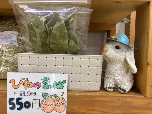 びわの葉っぱ 30g