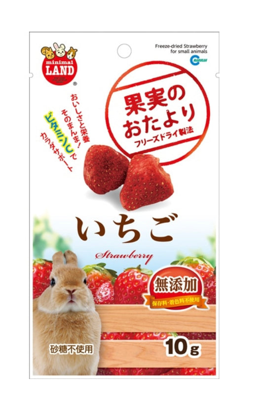 マルカン果実のおたより いちご10g